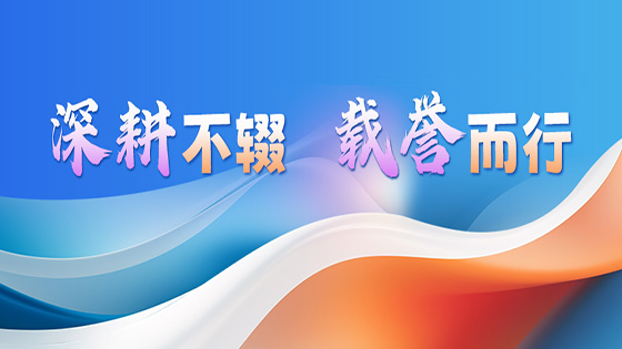 深耕不辍 载誉而行｜mksports体育斩获软件领域“双百强” 荣誉